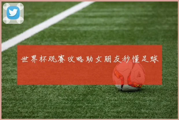 世界杯观赛攻略助女朋友秒懂足球