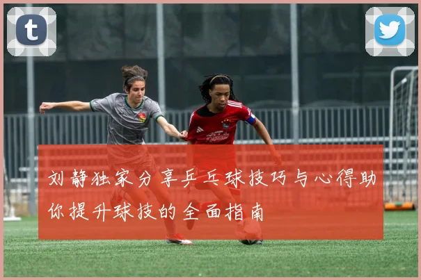 刘静独家分享乒乓球技巧与心得助你提升球技的全面指南