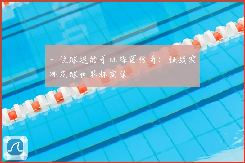 一位球迷的手机绿茵传奇:征战实况足球世界杯实录