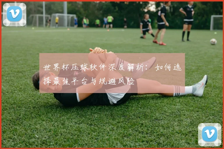 世界杯压球软件深度解析:如何选择最佳平台与规避风险