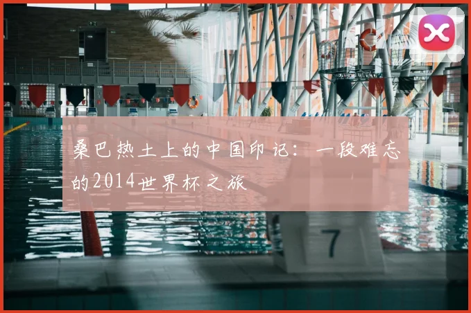 桑巴热土上的中国印记:一段难忘的2014世界杯之旅