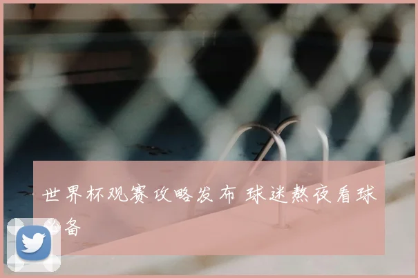 世界杯观赛攻略发布 球迷熬夜看球必备