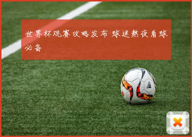 世界杯观赛攻略发布 球迷熬夜看球必备