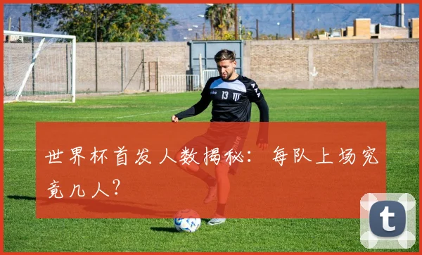 世界杯首发人数揭秘:每队上场究竟几人?