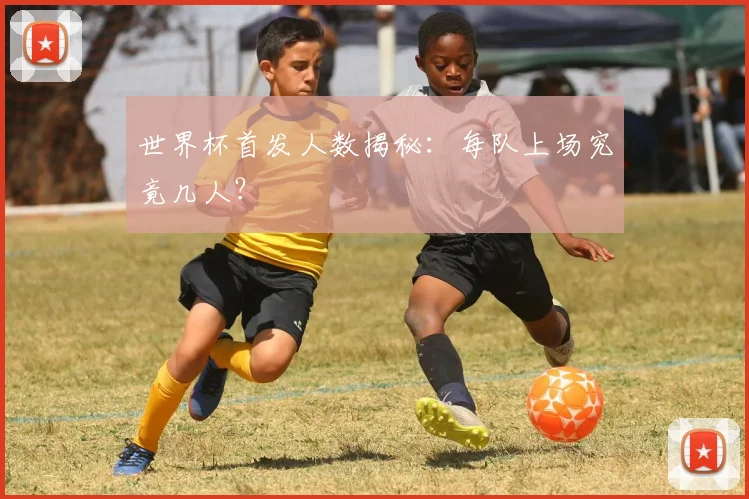 世界杯首发人数揭秘:每队上场究竟几人?