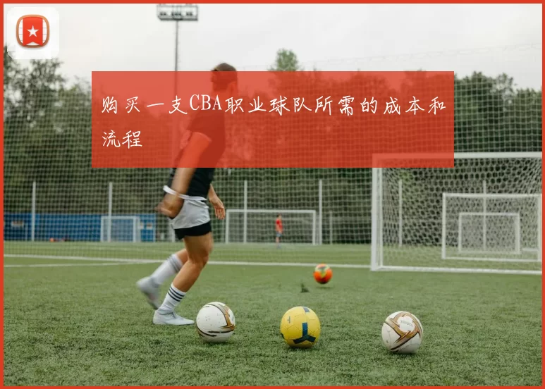 购买一支CBA职业球队所需的成本和流程