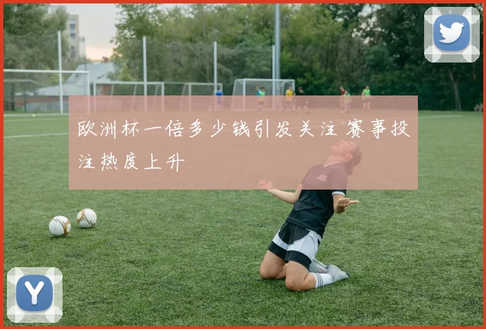 欧洲杯一倍多少钱引发关注 赛事投注热度上升