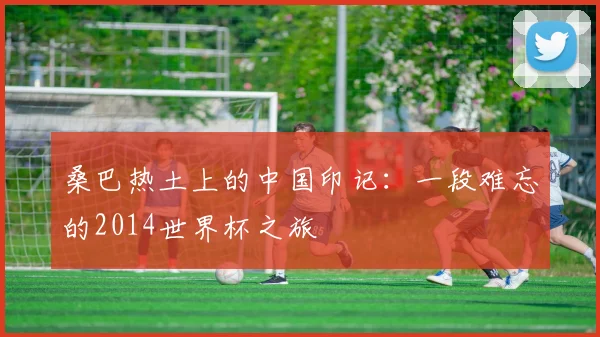 桑巴热土上的中国印记:一段难忘的2014世界杯之旅