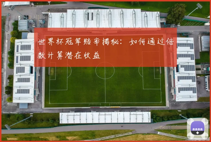 世界杯冠军赔率揭秘:如何通过倍数计算潜在收益