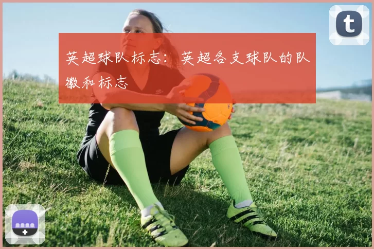 英超球队标志：英超各支球队的队徽和标志