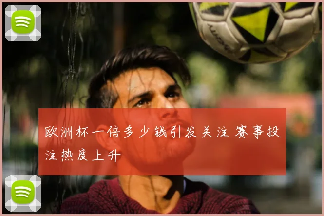 欧洲杯一倍多少钱引发关注 赛事投注热度上升