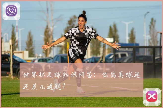 世界杯足球知识问答:你离真球迷还差几道题?