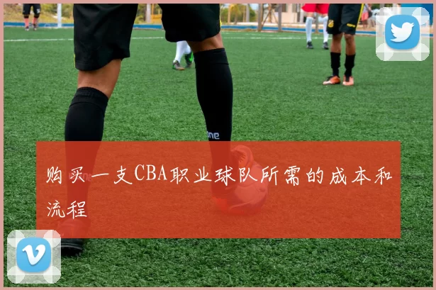 购买一支CBA职业球队所需的成本和流程