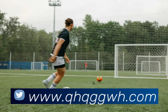 九游体育平台生态图