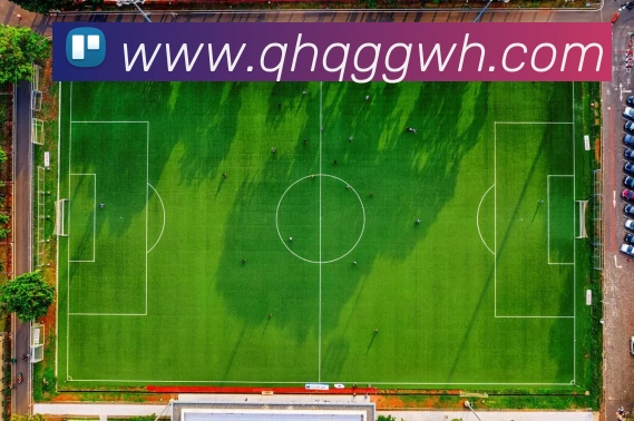 数据防护可视化